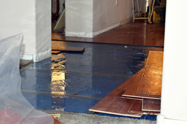 Professional Burst Pipe Cleanup technician working in Roosevelt, WA